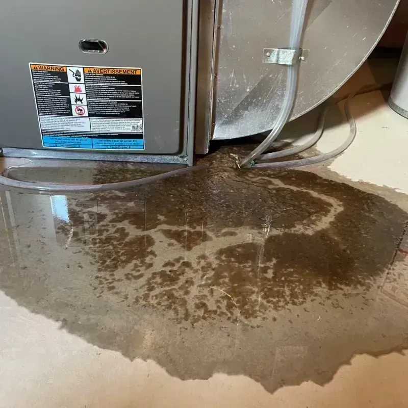 Appliance Leak Cleanup in Harrison County, KY